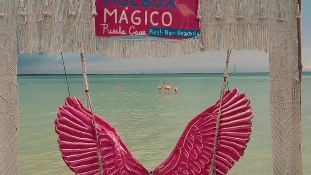 Las alas rosas bajo el letrero de Holbox Mágico, con flamencos en el mar al fondo